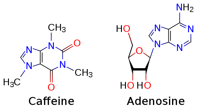 File:Caffeine and adenosine.svg