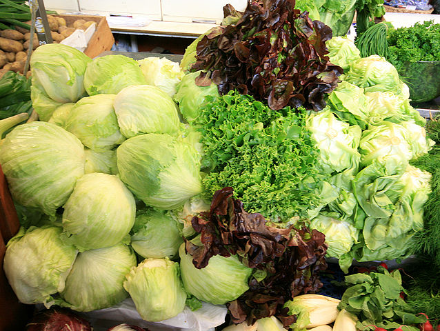 File:Lettuce mix.jpg