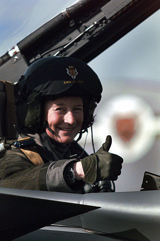 File:Tornado navigator DN-SD-01-05054.JPEG