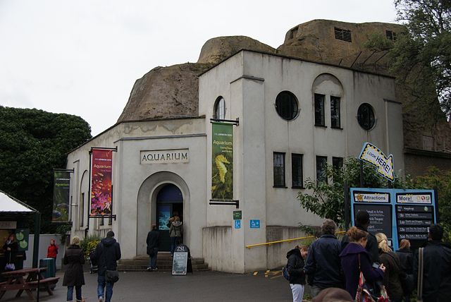 File:London Zoo, England -aquarium-24Oct2010.jpg