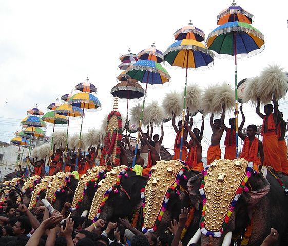 File:ThrissurPooram-Kuda.jpg