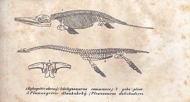 File:Rozprawa o přewratech kůry zemnj, Ichthyosaurus and Plesiosaurus.jpg