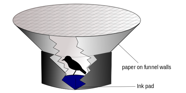 File:EmlenFunnel.svg