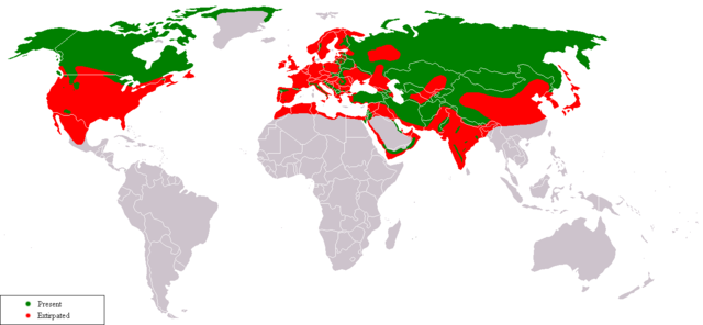 File:Gray Wolf Range.png
