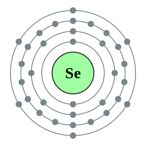 File:Electron shell 034 Selenium - no label.svg
