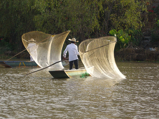 File:P&aacute;tzcuaro-Trad-Fishing-3.jpg