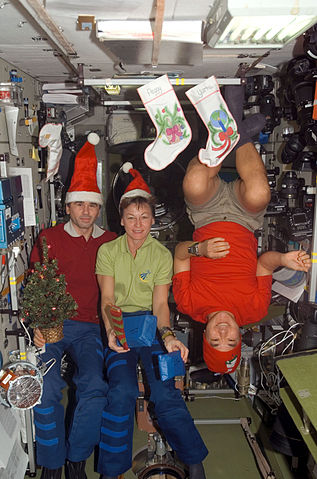 File:Expedition 16 crew members pose for a Christmas photo in the Zvezda Module of the ISS.jpg
