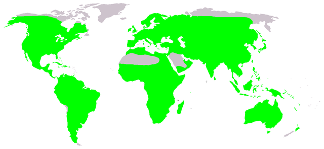 File:Distribution.anura.1.png