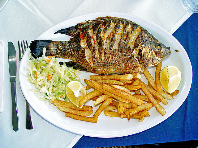 File:Tilapia zilli Kineret.jpg
