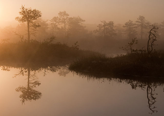 File:Endla Looduskaitseala.jpg