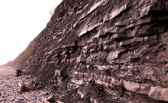 File:Blue lias cliffs at Lyme Regis.jpg