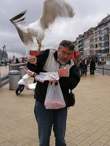 File:Birdsniper.jpg