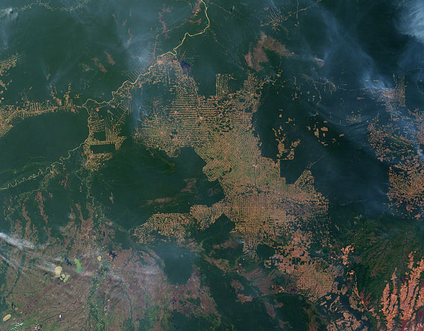 File:Fires and Deforestation on the Amazon Frontier, Rondonia, Brazil - August 12, 2007.jpg