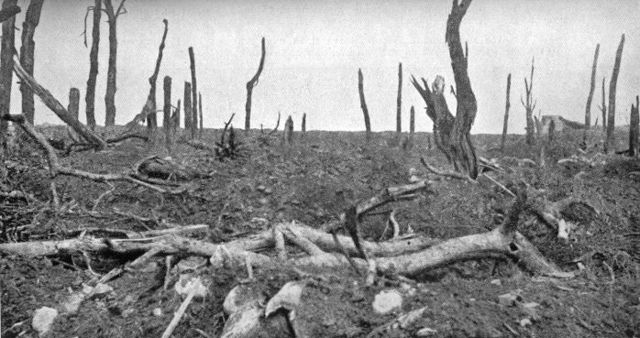 File:Pozieres view north 28 August 1916.jpg