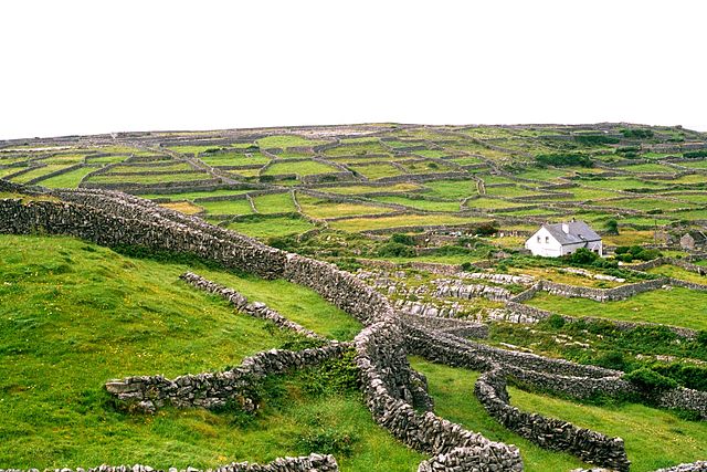 File:Inishmaan Gardens.jpg