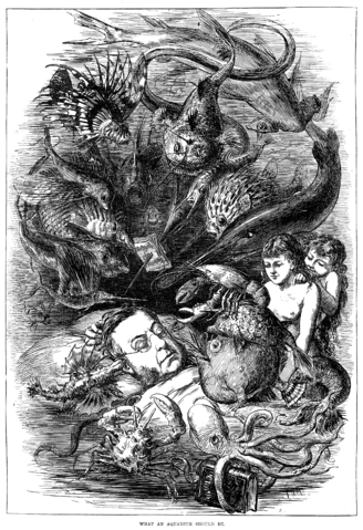 File:What an Aquarium Should Be.png