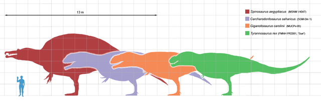 File:Largesttheropods.png