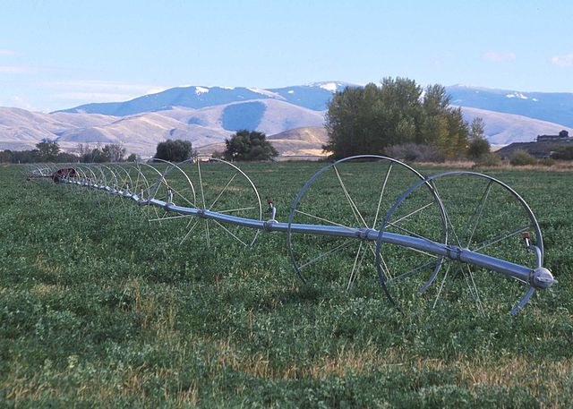 File:WheelLineIrrigation.JPG