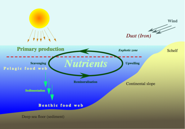 File:Nutrient-cycle hg.png