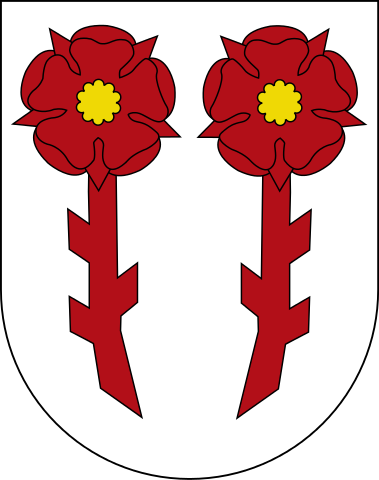 File:Rapperswil CoA.svg