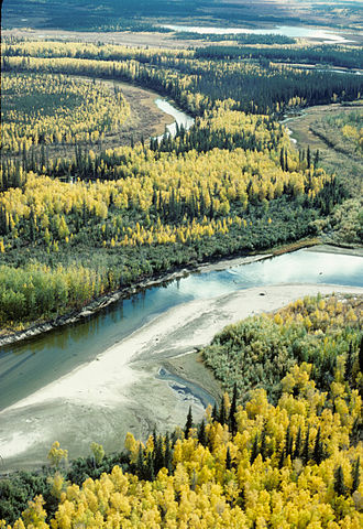 File:Fall on the Yukon Flats NWR.jpg