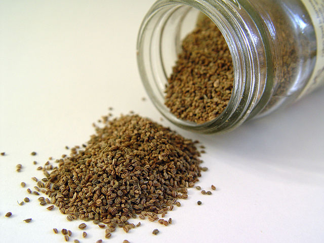 File:Celery seed.jpg