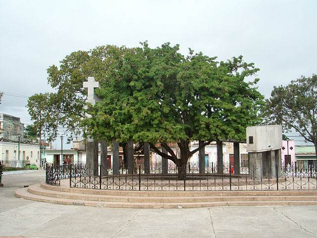 File:Tamarind clara.jpg
