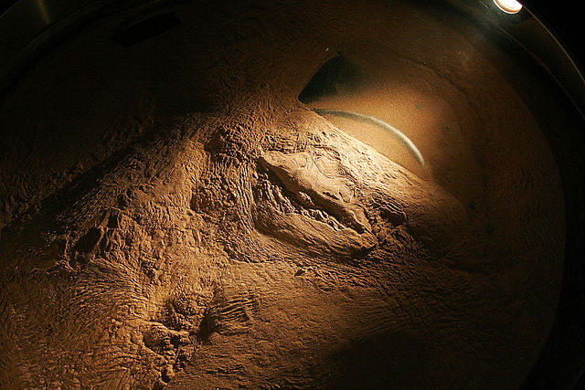 File:Moving sand simulator questacon.jpg