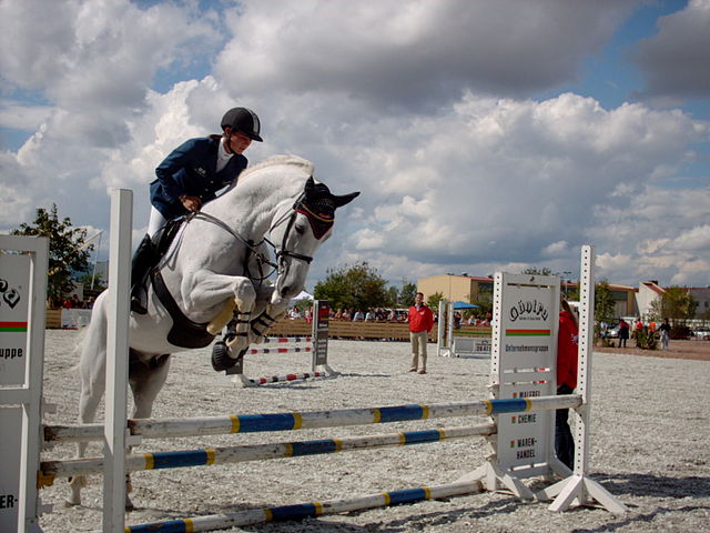 File:Showjumping white horse.jpg