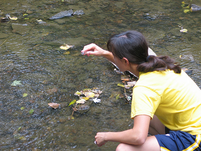 File:Field Trip- water sampling.jpg