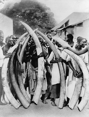 File:Ivory trade.jpg