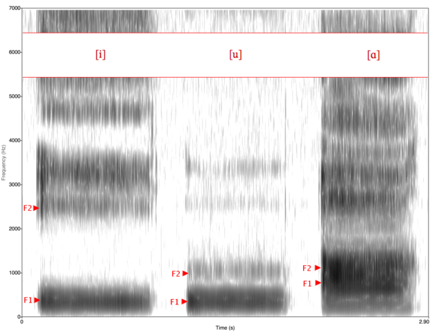 File:Spectrogram -iua-.png