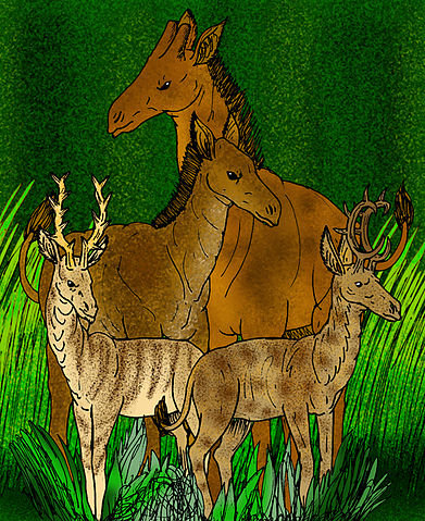 File:Climacoceras gentryi e.jpg