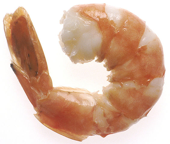 File:NCI steamed shrimp.jpg