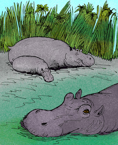 File:Hippopotamus gorgops e.jpg