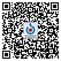 QR Stefan Fl&ouml;per.png