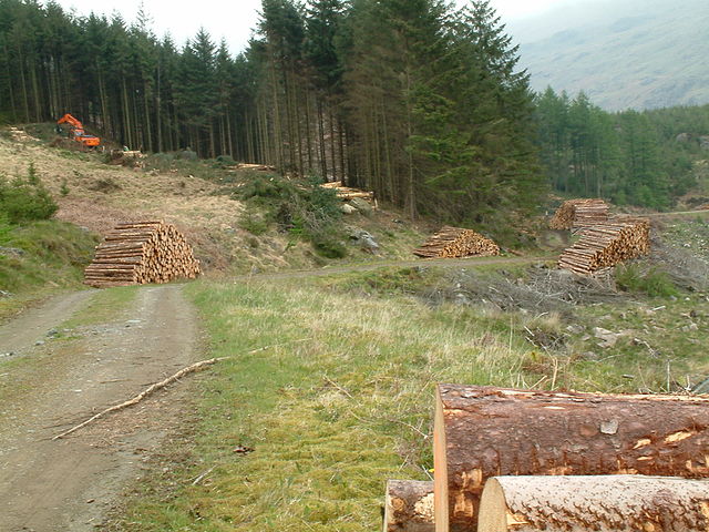 File:Forestry on Harter Fell.jpg