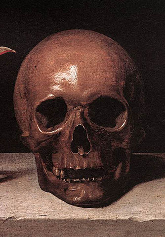 File:SkullFromStillLifeWithASkull.jpg
