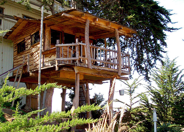 File:Tree house.jpg
