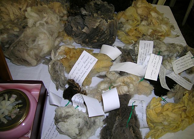 File:Wool samples 2.JPG
