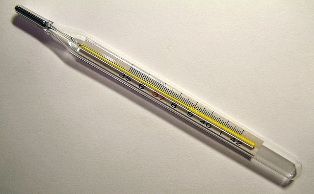 File:Clinical thermometer 38.7.JPG