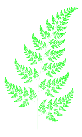 File:Bransleys fern.png