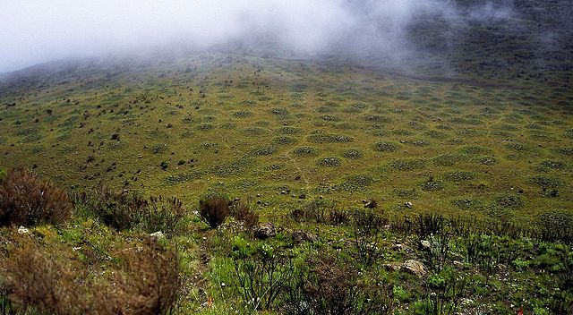 File:Frost upheaval.jpg