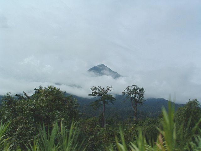 File:Mont-Cameroun.jpg