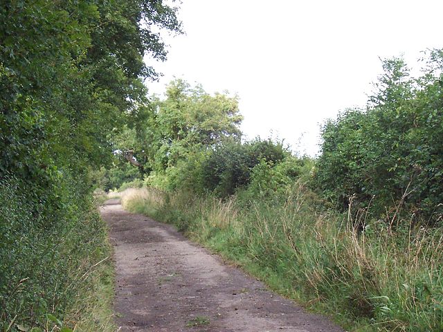 File:Fosse Way Wiltshire.jpg