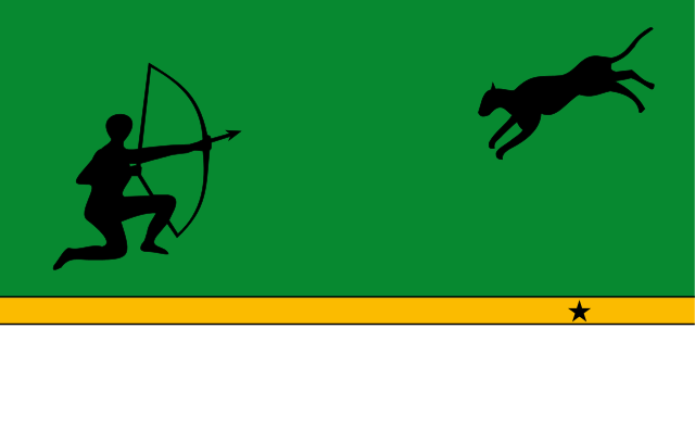 File:Flag of Amazonas (Colombia).svg