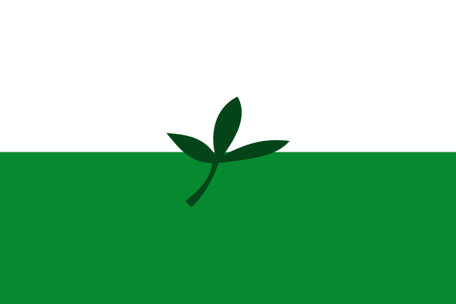 File:Flag of Vaup&eacute;s.svg
