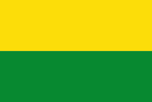 File:Flag of Vichada.svg