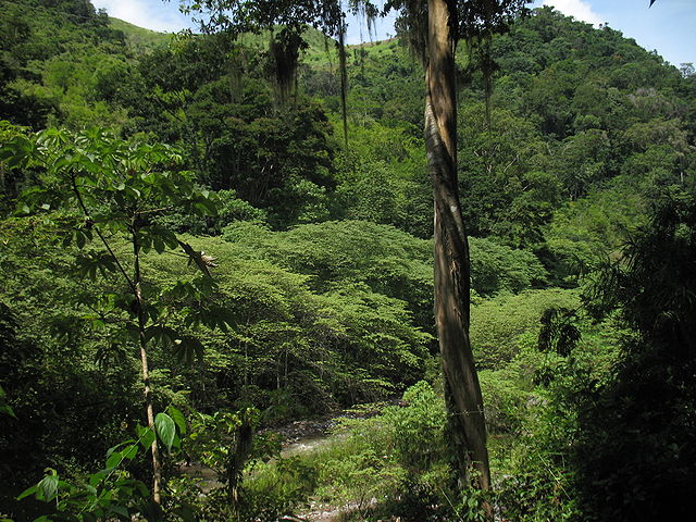 File:MontanasdelaSierradeAgalta Honduras.jpg